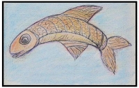 Celtic-Salmon