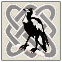 Magpie-Dream