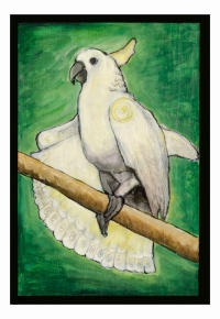 White Cockatoo
