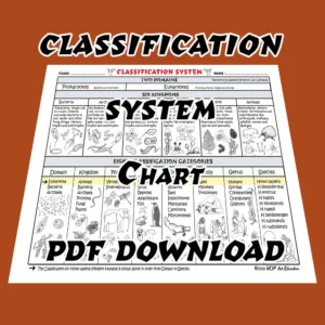 Classification System Chart