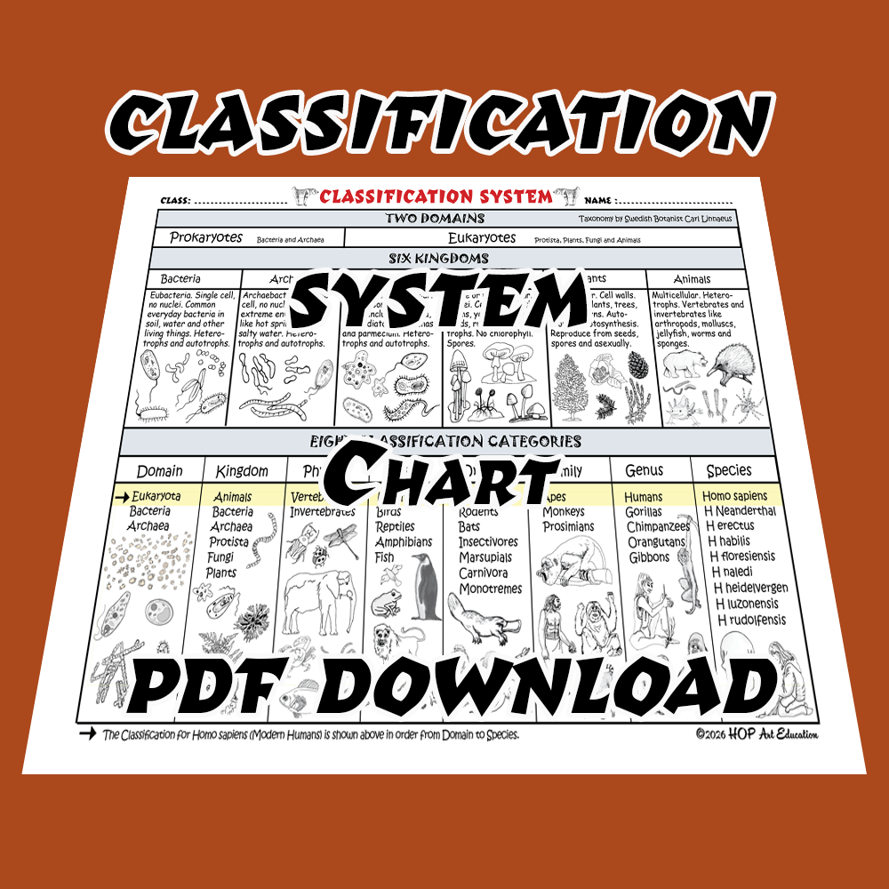Classification System Chart