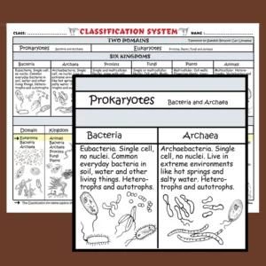Classification System Chart