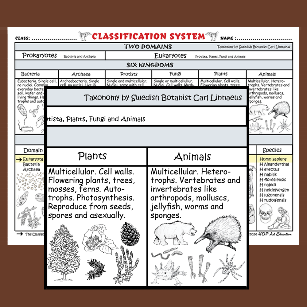 Classification System Chart - Image 3