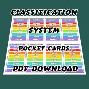 Classification System Pocket Cards