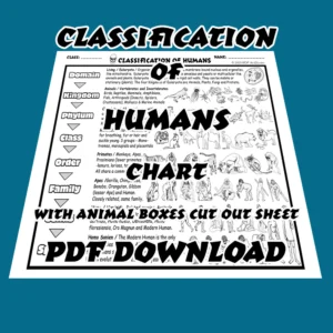 Classification of Humans Chart