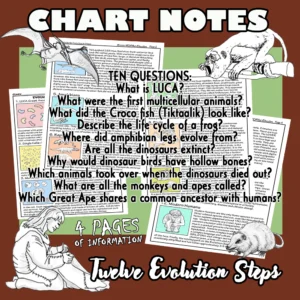 Evolution Chart Notes