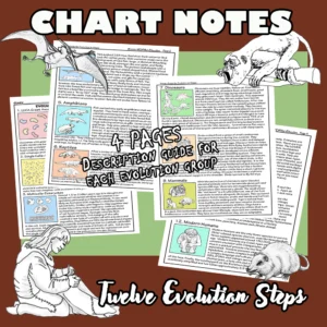 Evolution Chart Notes