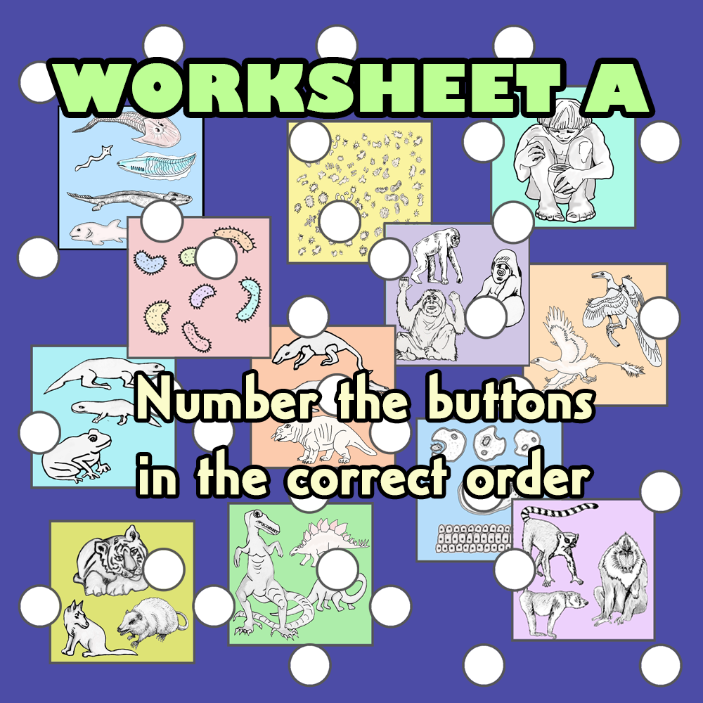 Evolution of Humans in Steps Worksheets - Image 2