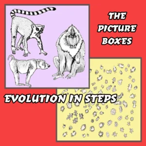 Evolution Chart Notes
