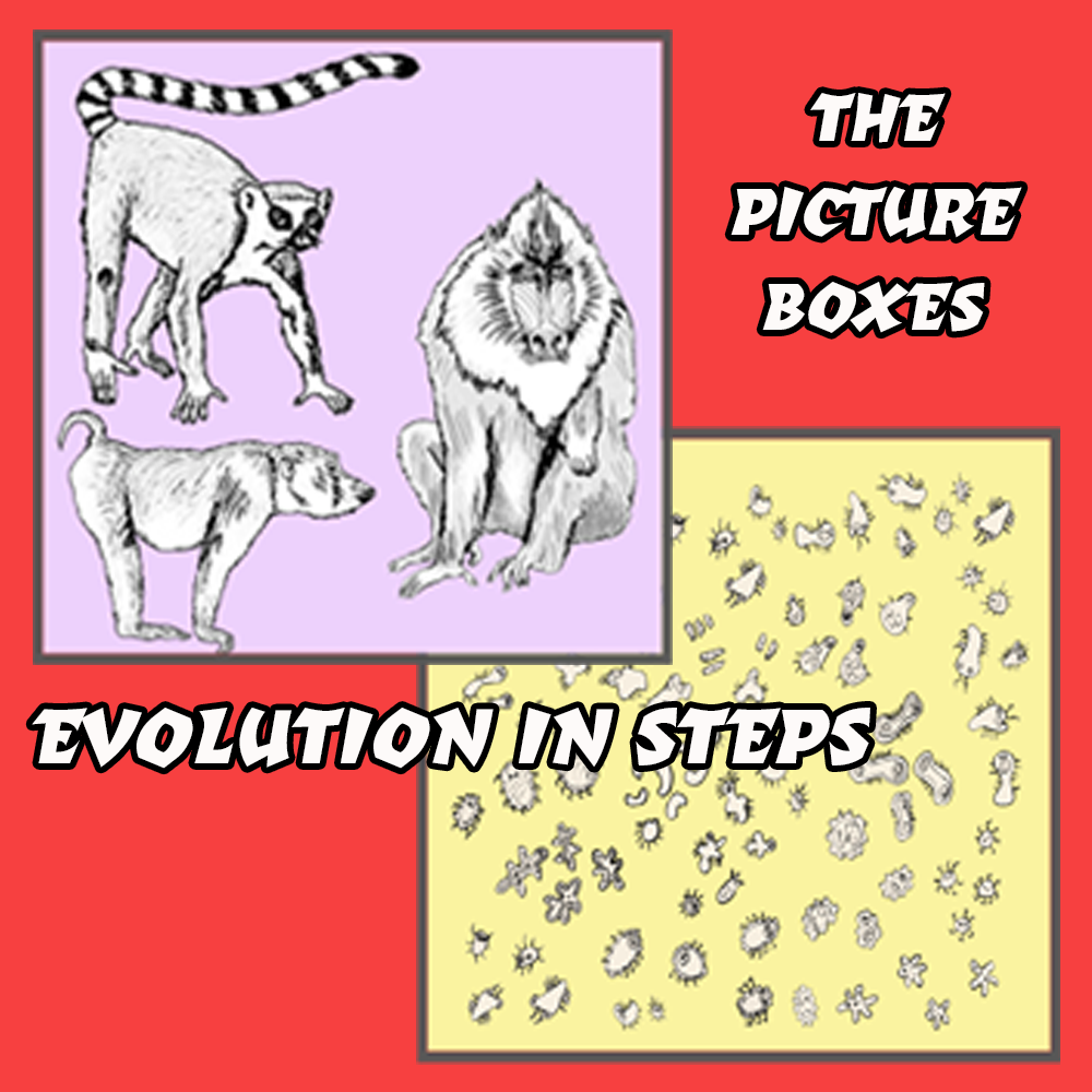 Evolution Chart Notes - Image 2