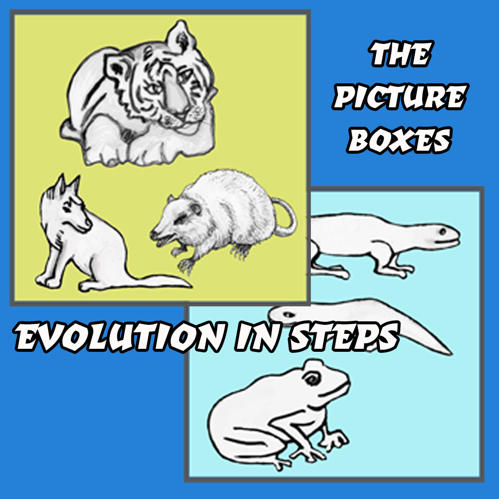 Evolution Chart Notes - Image 3