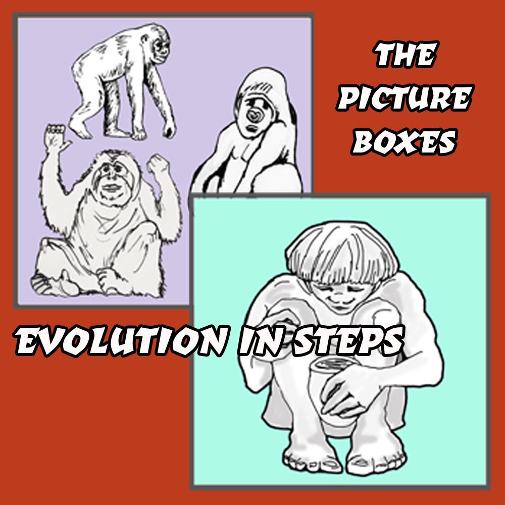 Evolution Chart Notes - Image 4
