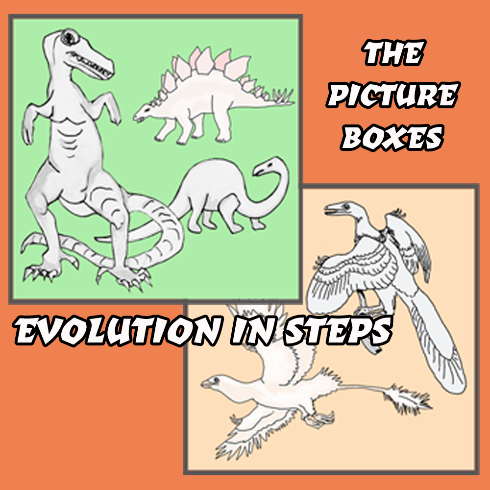 Evolution Chart Notes - Image 5
