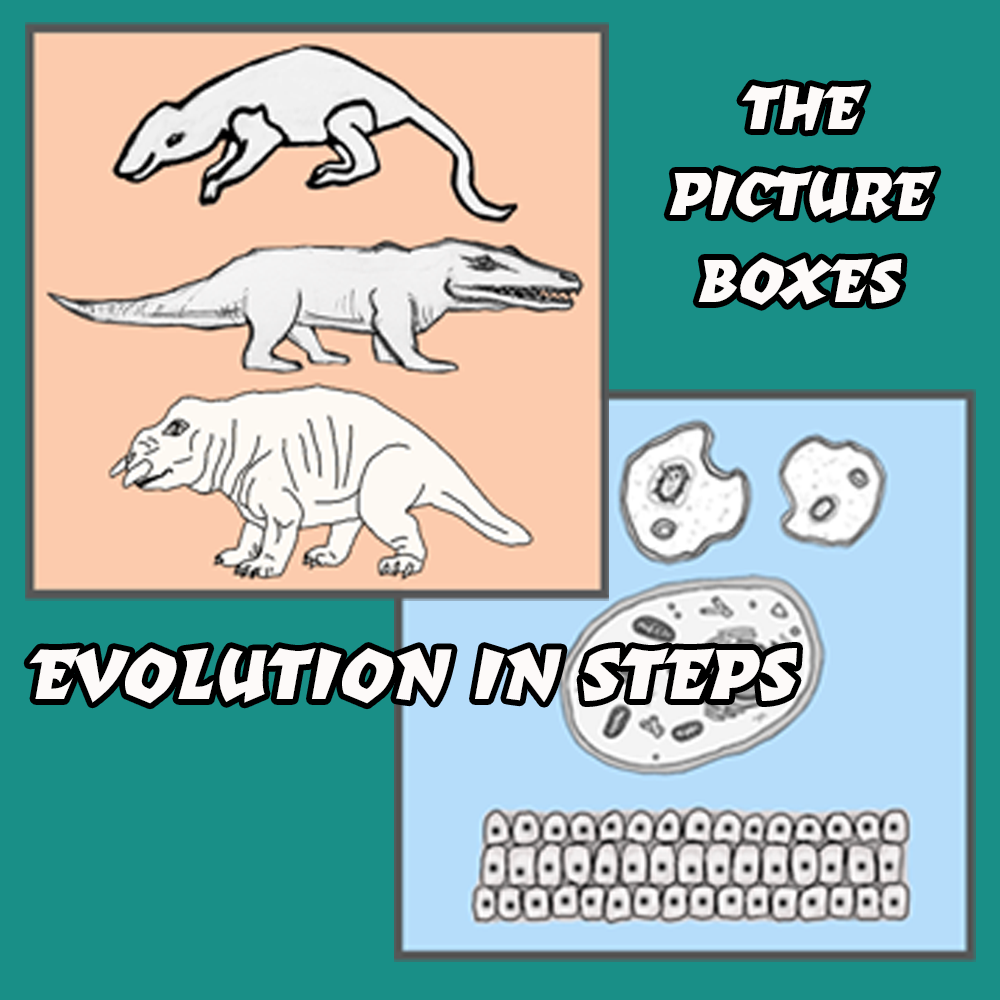 Evolution Chart Notes - Image 6