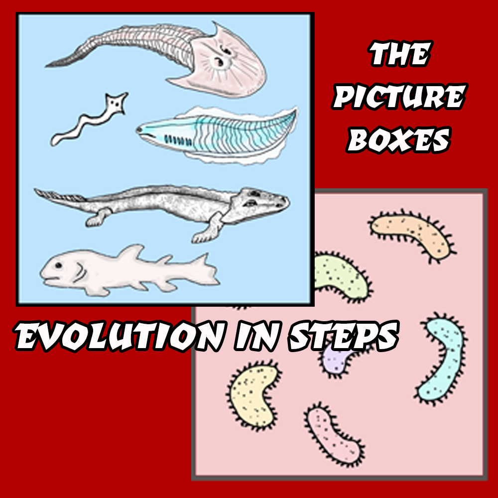 Evolution Chart Notes - Image 7