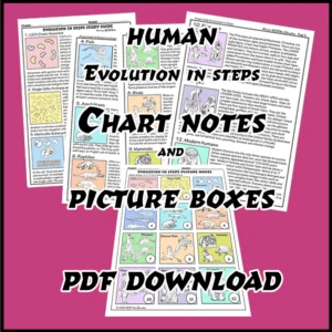 Evolution of Humans in Steps Chart Notes