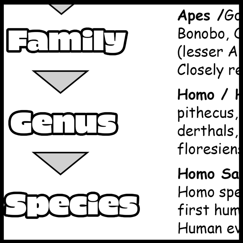 Classification of Humans Chart - Image 3