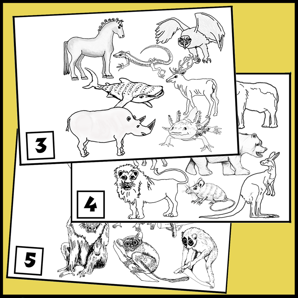 Classification of Humans Chart - Image 6