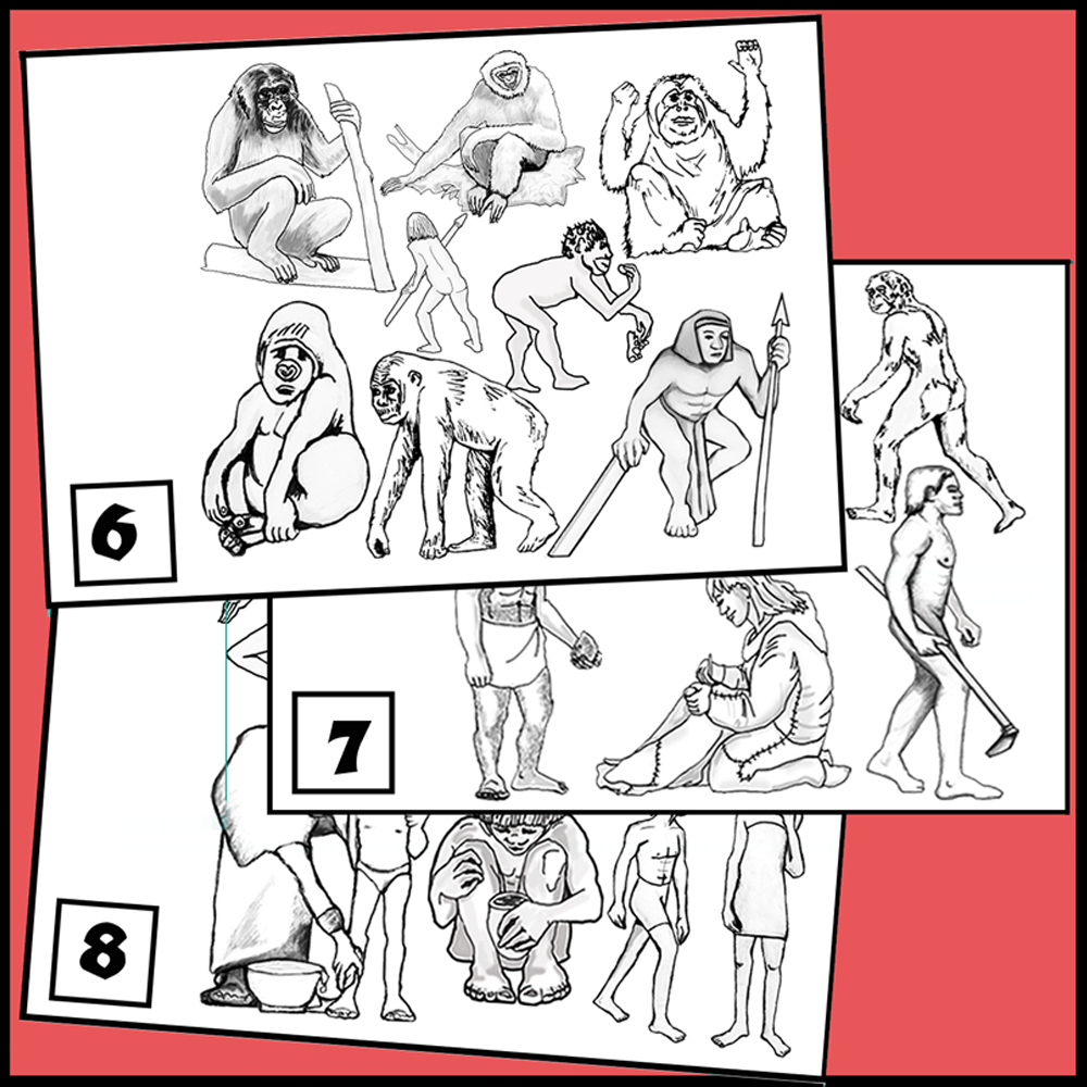Classification of Humans Chart - Image 7