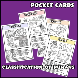 Classification of Humans Pocket Cards