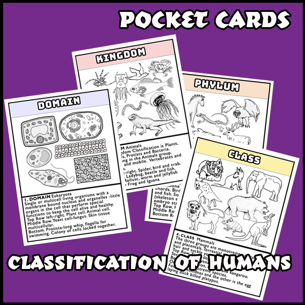 Classification of Humans Pocket Cards - Image 2