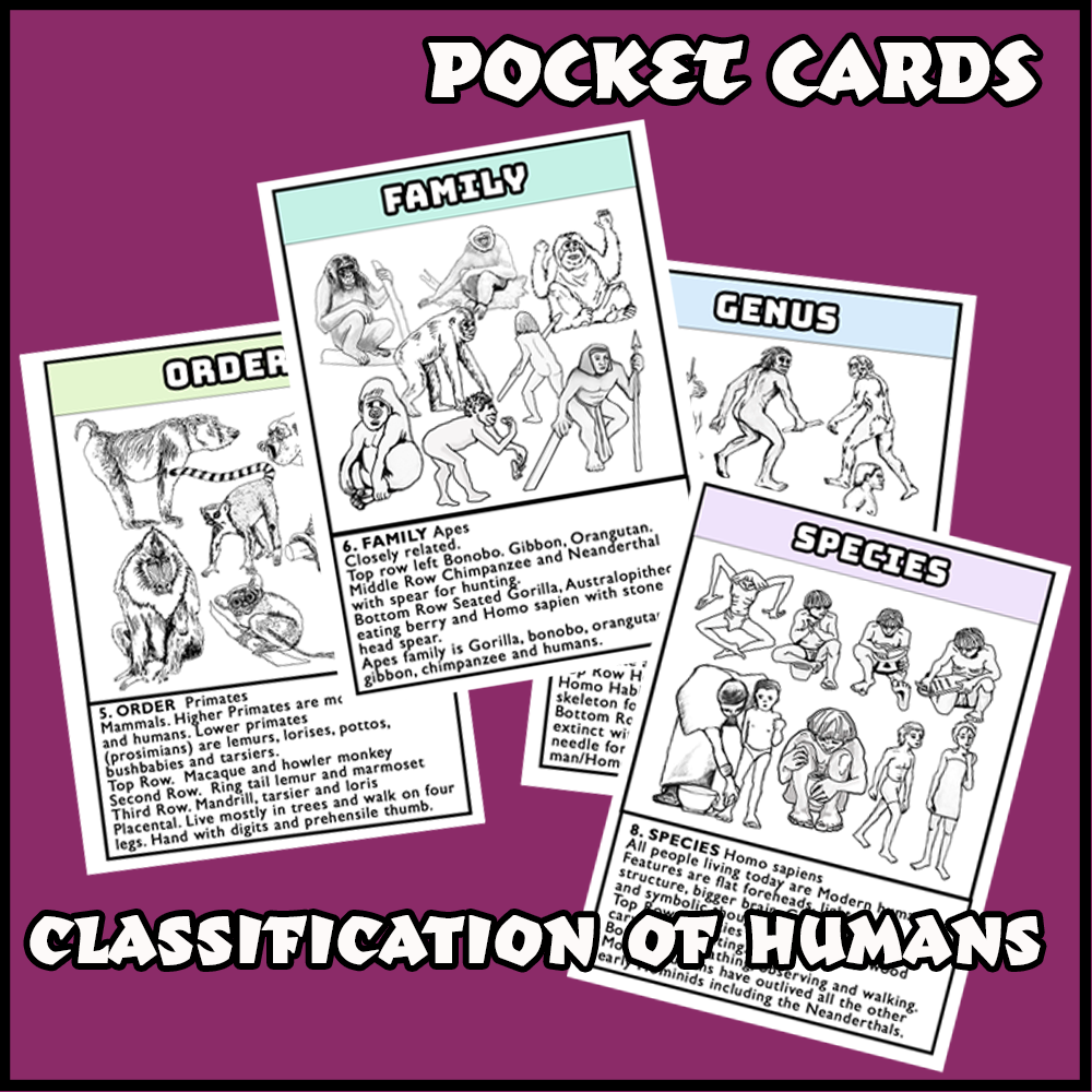 Classification of Humans Pocket Cards - Image 3
